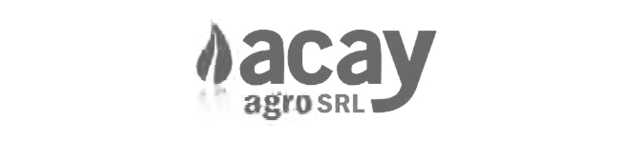 Logo final Acay